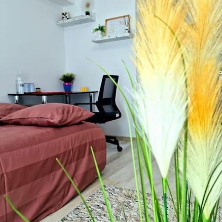 Appartement Ultracentral Magheru Studio à Bucarest Extérieur photo