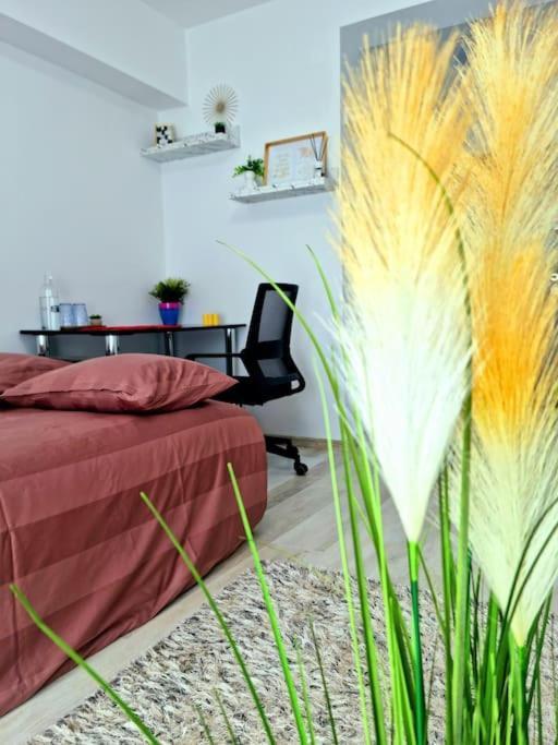Appartement Ultracentral Magheru Studio à Bucarest Extérieur photo